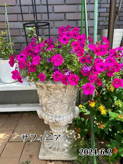 IMG_3748.jpeg