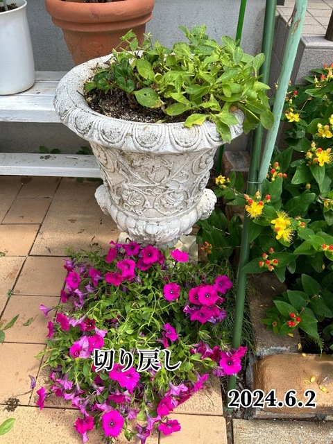 IMG_3749.jpeg