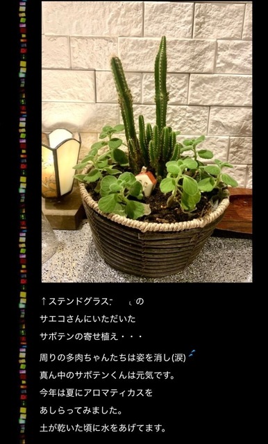 IMG_3867.jpeg